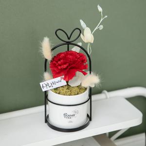 카네이션 조화 화분 미니새장set 24cm 2컬러 꽃 어버이날 스승의날 선물