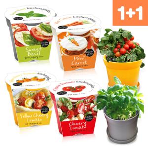 컬러키친가든 1+1 봄특가행사 토마토 바질 미니당근 식물재배키트