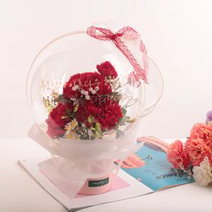 가정의달 카네이션 꽃풍선