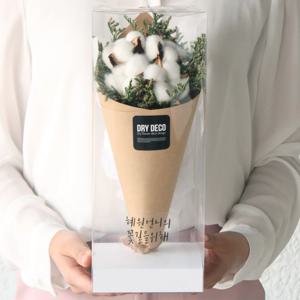 드라이플라워 미디엄 목화꽃다발 5colors