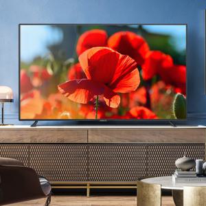 165cm(65인치) 4K UHD TV 에너지1등급 중소기업티비