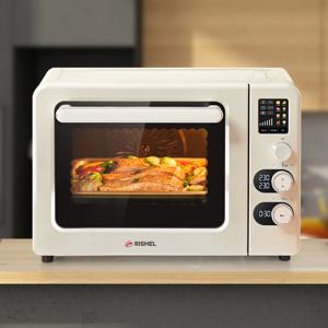 리쉘 빅파워 컨벡션 스팀 오븐 45L OV450A