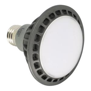 롱 LED PAR30 15W 디밍 확산형 주광색 불 밝기조절 가능
