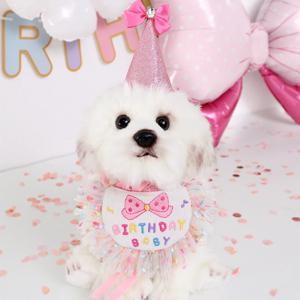 강아지생일파티 베일모자+케이프 SET
