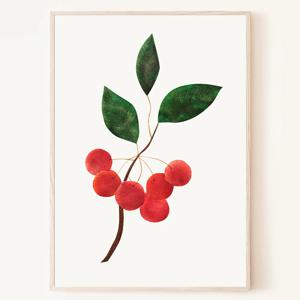 야광나무 식물 열매 그림 보태니컬 빈티지 포스터 액자