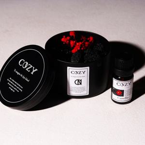 코지 화산석 스톤디퓨저 COZY Basalt Diffuser