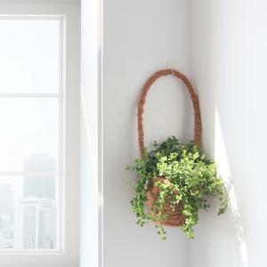 신홀리페페 바구니 공기정화 행잉식물