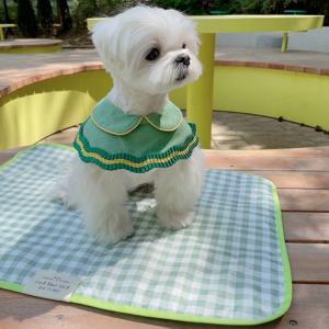 코지러그_Sagegreen 강아지매트 양면매트 방수매트 강아지산책매트