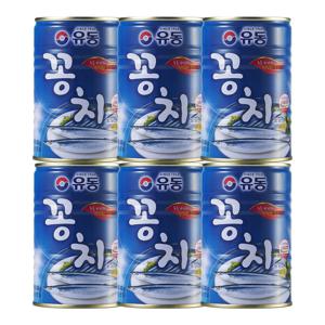 꽁치 400g*6개