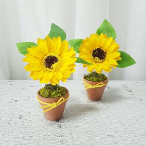 비누꽃 해바라기 한송이 미니토분