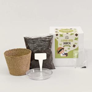 스위트 바질 씨앗키우기 아이농부 환경 화분 키트 재배세트