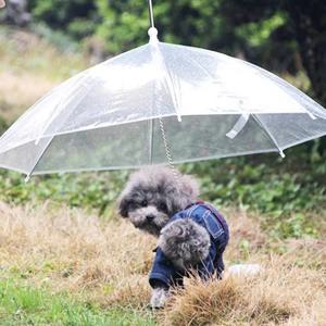 비오는날 강아지 산책 애견 우산 - 반려동물 개우산 팻 산책용품 강아지우산 강아지산책