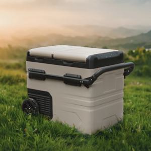 LG컴프레셔 캠핑용 냉장고 냉동고 KC인증 AS보증 35리터