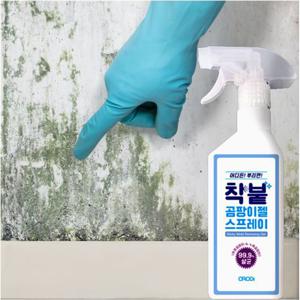 곰팡이제거 간편하게 착붙 곰팡이젤 스프레이