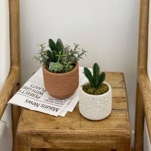 [식집사 지원쿠폰 5%] 미니 금청각 픽 조화 2color