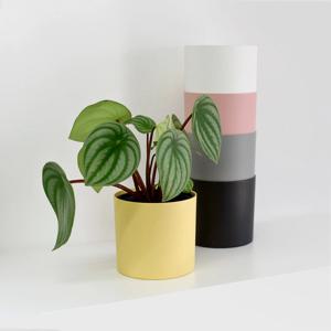 컬러 포트볼 화분 커버 가리개 플라스틱 인테리어 화분 4sizes