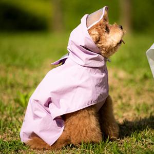 강아지 우비 일체형 레인코트 비옷 애견 판초