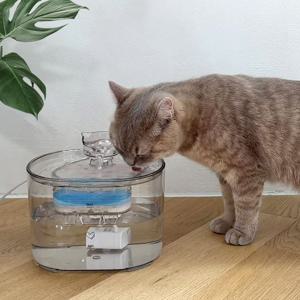 모션센서 고양이 강아지 정수기 자동급수기 시즌2