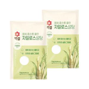 백설 하얀 자일로스 설탕 5kg*2개