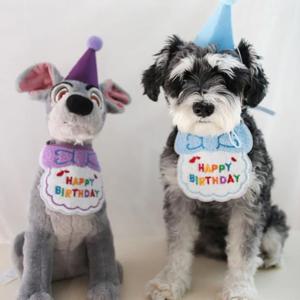애견용품 강아지 고양이 생일 꼬깔모자 케이프 턱받이 세트 - 반려견 반려묘 생일파티소품