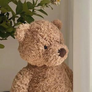 안고자는 귀여운 브라운 곰돌이 인형 애착 테디베어 곰인형 35cm