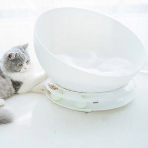 [해외] 고양이 강아지 반려동물 장난감 하우스 침대 캣타워