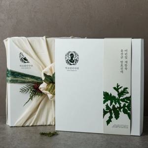 어린잎 개똥쑥 유산균 발효진액 30포 3년숙성 선물용 집들이선물 답례품 백화점 명품진액