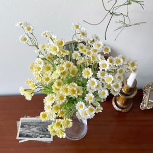 마트리카리아 소국 조화 꽃다발 데이지 마가렛 들꽃 계란후라이꽃