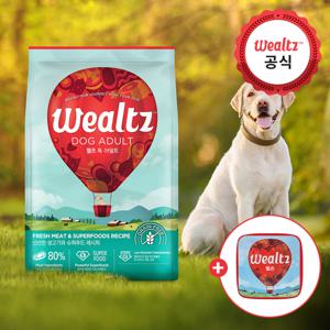 어덜트 6kg 강아지 성견사료 +웰츠 노즈워크