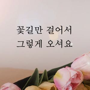 45  감성 레터링 스티커 현관문 전실 카페 입간판 창문 인테리어