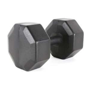 국산 다이나믹 옥타곤 아령 15kg 1개단품 덤벨