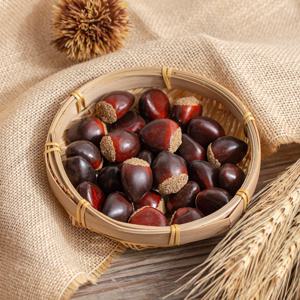 밤 모형(소) 20개-가을 인테리어 장식 소품 매장 디스플레이 견과류 모형