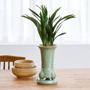 산천보세 청자 추운 겨울에도 꼿꼿하게 자라는 동양난 승진 취임 영전 인사이동 선물