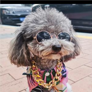 강아지 고양이 선글라스 3종 세트 사진촬영 패션아이템