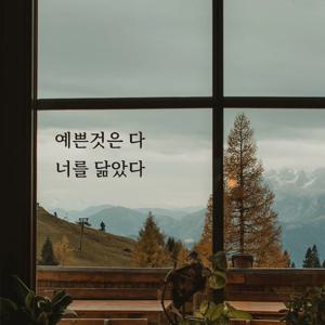 심플릭 예쁜것은 다 너를 닮았다 인테리어 글씨 스티커