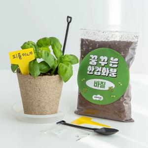 바질 한컵화분 씨앗 새싹 재배 키우기 세트 DIY 키트