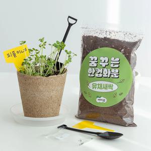 유채새싹 한컵화분 씨앗 새싹 재배 키우기 세트 DIY 키트