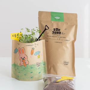 유채새싹 그림화분 씨앗 새싹 재배 키우기 세트 DIY 키트