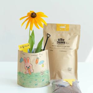 해바라기 그림화분 씨앗 새싹 재배 키우기 세트 DIY 키트