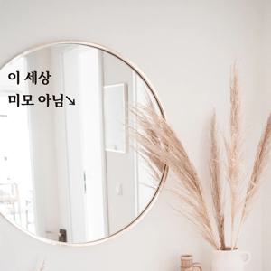 심플릭 이세상 미모아님 포토존 거울 유리 감성 스티커