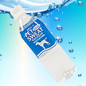 강이지 이온음료 500ml