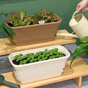 아이농부 이지팜 비건 텃밭 재배세트 저면관수 화분 키트 (씨앗2종 선택)