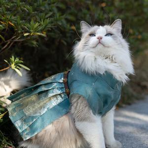 [해외] 추석 반려동물 강아지 고양이 한복 의류 색동저고리