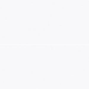 AJ 63C 벽타일 300X600 무광 도기질타일