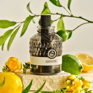 그라스 오브제 차량용 디퓨저 100ml 3종 택1