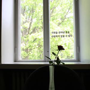 심플릭 시련을 견뎌낸 꽃을 명언 응원 글자스티커 레터링