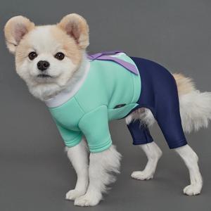 강아지 고양이 설날 추석 명절 네오플렌 한복올인원 (DG066)