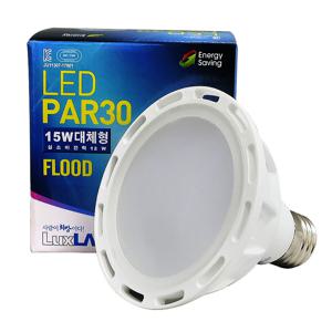 LED PAR30 15W 파30 LED전구_2types