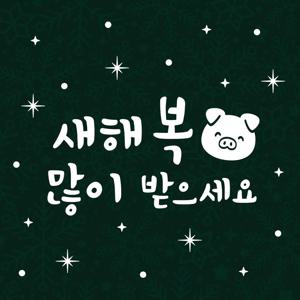 크리스마스 스티커 윈도우 시트지 LMXM-058 새해 복 돼지