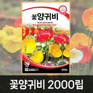 양귀비 꽃씨앗 꽃씨 모음 가을 씨앗 종자 봄꽃 일년생 다년생 노지월동 야생화